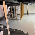 Mold Remediation