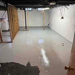 Mold Remediation