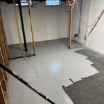 Mold Remediation
