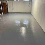 Mold Remediation