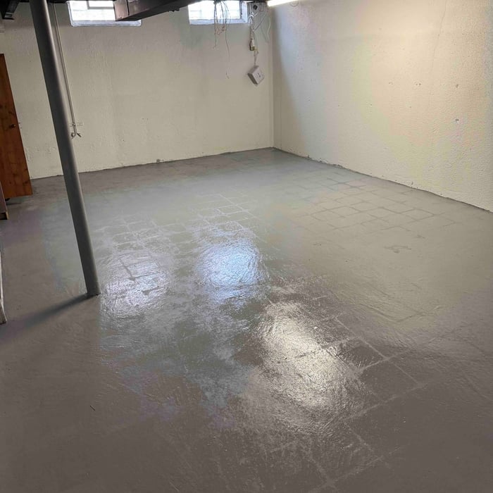 Mold Remediation