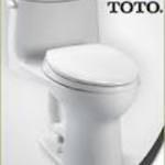 One-Piece Toilet