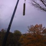 Bring Tree Over Home