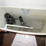 toilet guts