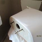 toilet guts