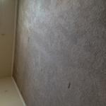 carpet Cleaning Service