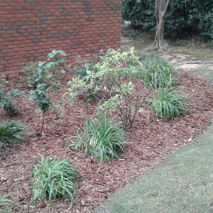 Mulched