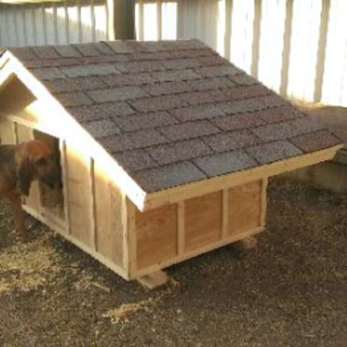 Insulated Dog house