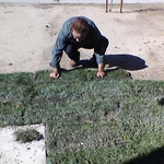 Manuel small project installing sod