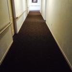 Patterned hall carpet