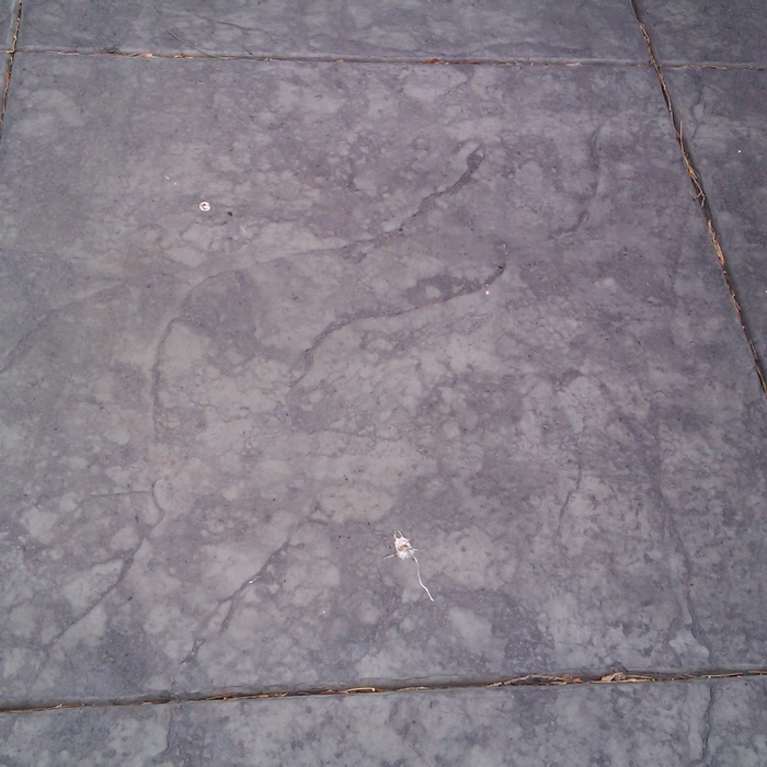 detailed texture and tooling
