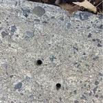 Evidence of Previous Termite Treatment