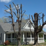 2013