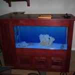 Custom Fish Tank Front View