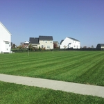 side yard