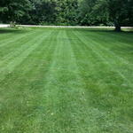 Lawn Mowing