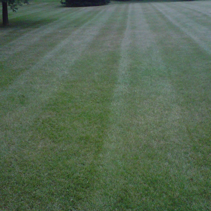 Lawn Mowing