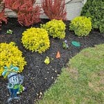 Sprinkler Install