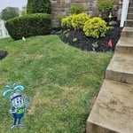 Sprinkler Install