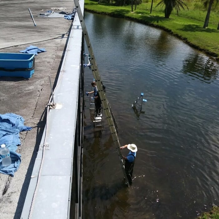 Window Detail Cleaning