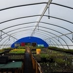 Yes, we design irrigation for greenhouses