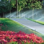 Spray heads