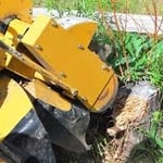 Big R Tree Service, Inc.