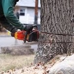 Big R Tree Service, Inc.
