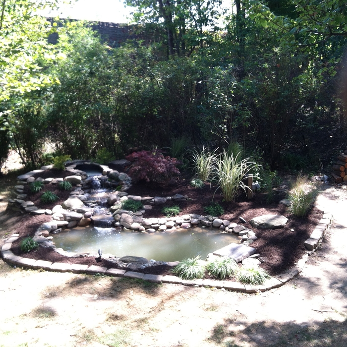 Beautiful Pond and waterfall