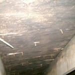 Mold growth on sheeting