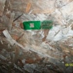 Bio-Slide Surface Sample