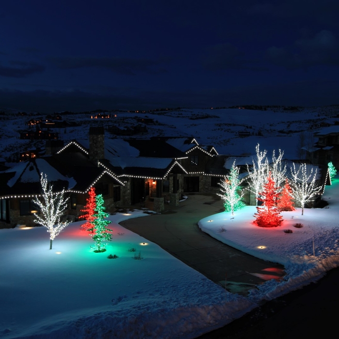 Christmas Traditional Colors