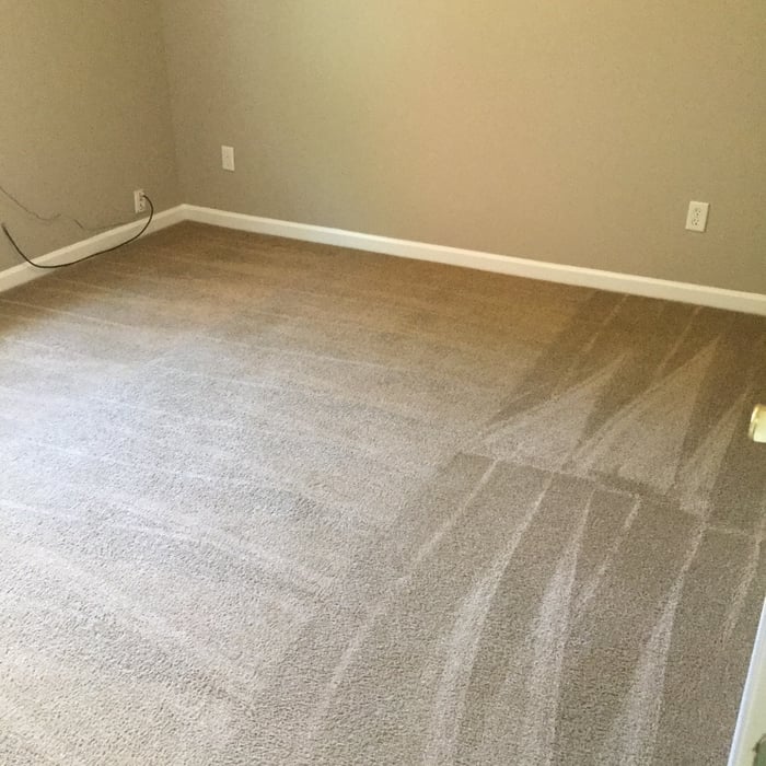 Restorative Carpet Cleanng