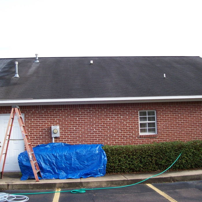 Dr. Gray - roof cleaning
