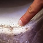 markings on beds
