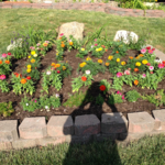 Our work