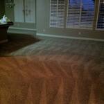 Deep Carpet Clean