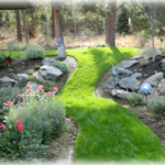 Lawn