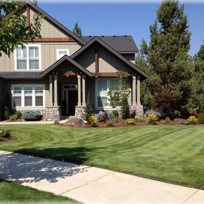 Front Yard