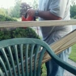 Hedge Trimming