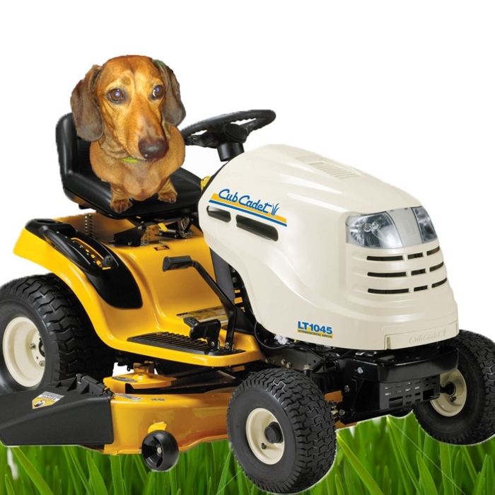 Our Mascot on his mower! Lol
