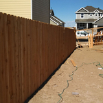 Cedar
