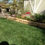 GreenTouch Lawn & Tree Landscape Project