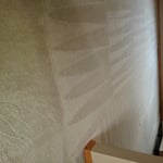 Bring your carpets back to life.