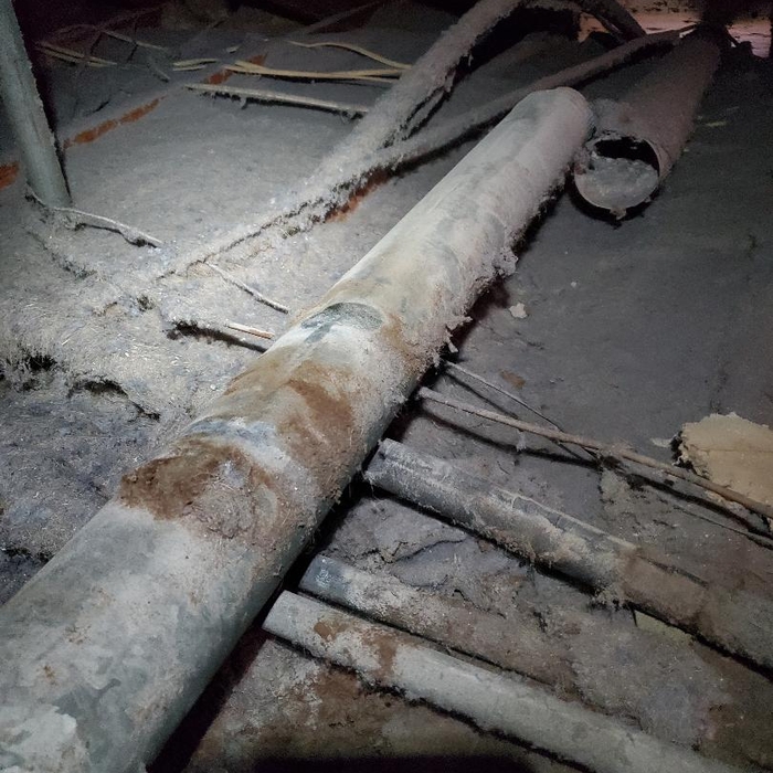 Attic Lint
