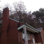 Tree damaged home