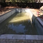 Pool Clean Up