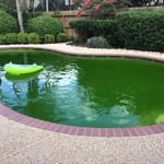 From Green to Clean