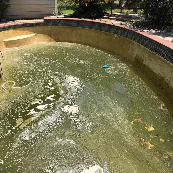 Complete Pool Clean Up