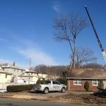 crane work
